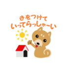 柴犬☆らっきー（個別スタンプ：3）