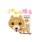 柴犬☆らっきー（個別スタンプ：4）