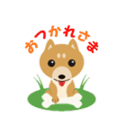 柴犬☆らっきー（個別スタンプ：5）