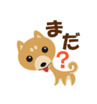 柴犬☆らっきー（個別スタンプ：10）