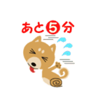 柴犬☆らっきー（個別スタンプ：11）