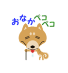 柴犬☆らっきー（個別スタンプ：12）