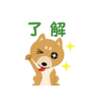 柴犬☆らっきー（個別スタンプ：24）