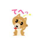 柴犬☆らっきー（個別スタンプ：30）