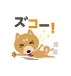 柴犬☆らっきー（個別スタンプ：31）