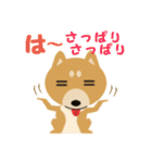 柴犬☆らっきー（個別スタンプ：38）