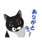 ねこぢるし Vol.1（個別スタンプ：4）