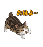 ねこぢるし Vol.1（個別スタンプ：23）