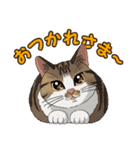 ねこぢるし Vol.1（個別スタンプ：24）