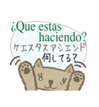 可愛い猫（日本語スペイン語）2（個別スタンプ：1）