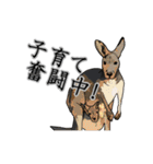 動物が好き！（個別スタンプ：13）