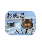 動物が好き！（個別スタンプ：39）