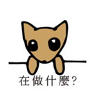 POOCH（個別スタンプ：1）