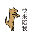 POOCH（個別スタンプ：2）