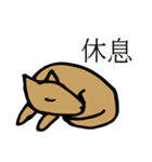 POOCH（個別スタンプ：12）