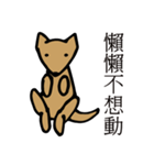 POOCH（個別スタンプ：17）