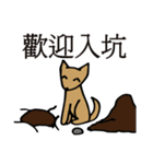 POOCH（個別スタンプ：34）