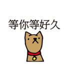 POOCH（個別スタンプ：35）