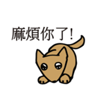 POOCH（個別スタンプ：36）