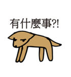 POOCH（個別スタンプ：40）