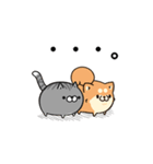 ボンレス犬とボンレス猫（個別スタンプ：11）