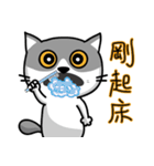 MeowMe Friends-Great Daily Phrases01（個別スタンプ：2）