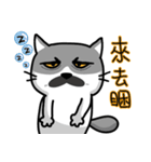 MeowMe Friends-Great Daily Phrases01（個別スタンプ：7）