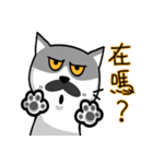MeowMe Friends-Great Daily Phrases01（個別スタンプ：10）