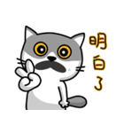 MeowMe Friends-Great Daily Phrases01（個別スタンプ：16）