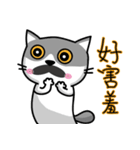 MeowMe Friends-Great Daily Phrases01（個別スタンプ：23）