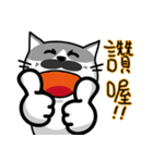 MeowMe Friends-Great Daily Phrases01（個別スタンプ：25）