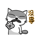 MeowMe Friends-Great Daily Phrases01（個別スタンプ：35）