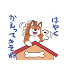 柴P。＠FAMILY（個別スタンプ：6）