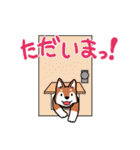 柴P。＠FAMILY（個別スタンプ：9）