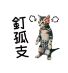 The real cats of the sinkcomic（個別スタンプ：21）