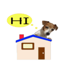 TUNA (Jack Russell Terrier)（個別スタンプ：1）