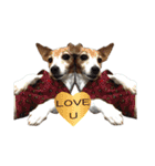 TUNA (Jack Russell Terrier)（個別スタンプ：30）