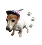 TUNA (Jack Russell Terrier)（個別スタンプ：40）