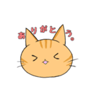 日常ねこ。（個別スタンプ：4）