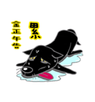 Hey, black dog brother（個別スタンプ：6）