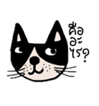 Meawmeaw ; Black cat（個別スタンプ：11）