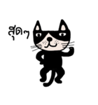 Meawmeaw ; Black cat（個別スタンプ：12）