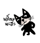 Meawmeaw ; Black cat（個別スタンプ：16）