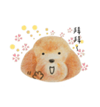 Sunshine Dog Say Hi！（個別スタンプ：36）