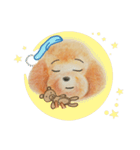 Sunshine Dog Say Hi！（個別スタンプ：40）