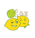 The Lemon Life Pro（個別スタンプ：22）