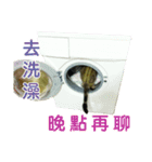 Real CAT.Chinese3（個別スタンプ：9）