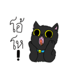 Matoy the Cat（個別スタンプ：18）