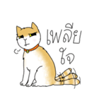 Matoy the Cat（個別スタンプ：31）