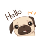 Dodo The Pug（個別スタンプ：1）